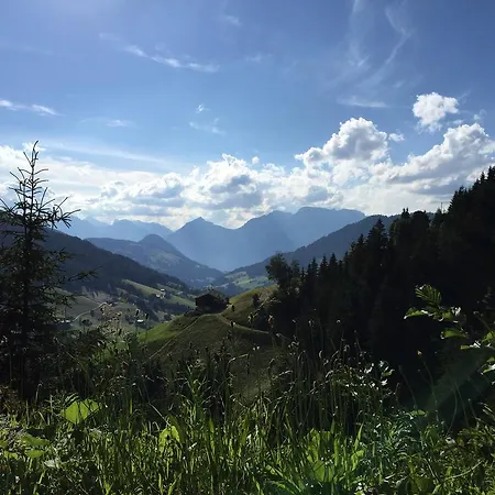 Juwel Appartement Alpbach
