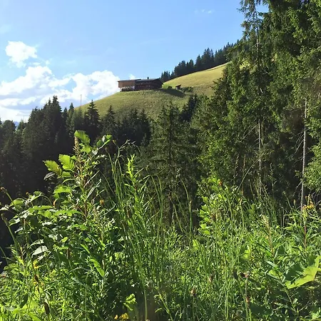 Appartement Juwel Alpbach